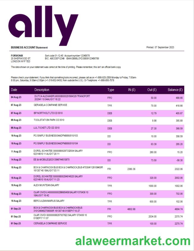 Ally Bank enterprise statement Word and PDF template
